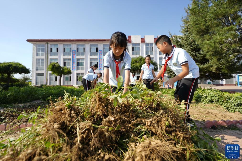 老虎机循环关机打法
